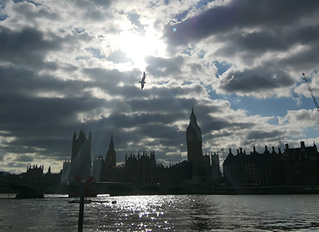 [Bild: 0d8494557e8bda350c771c959bfb7993.jpg]